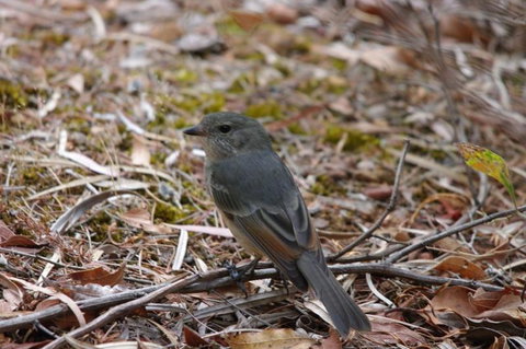 Margaret River Hideaway & Farmstay - Accommodation in Surfers Paradise 24