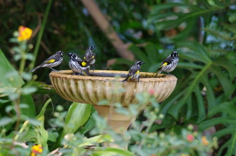 Margaret River Hideaway & Farmstay - Accommodation in Surfers Paradise 30