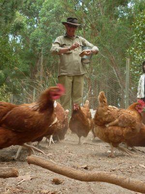 Margaret River Hideaway & Farmstay - Accommodation in Surfers Paradise 28