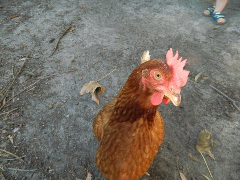 Margaret River Hideaway & Farmstay - Accommodation in Surfers Paradise 34