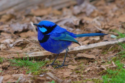 Margaret River Hideaway & Farmstay - Accommodation in Surfers Paradise 25