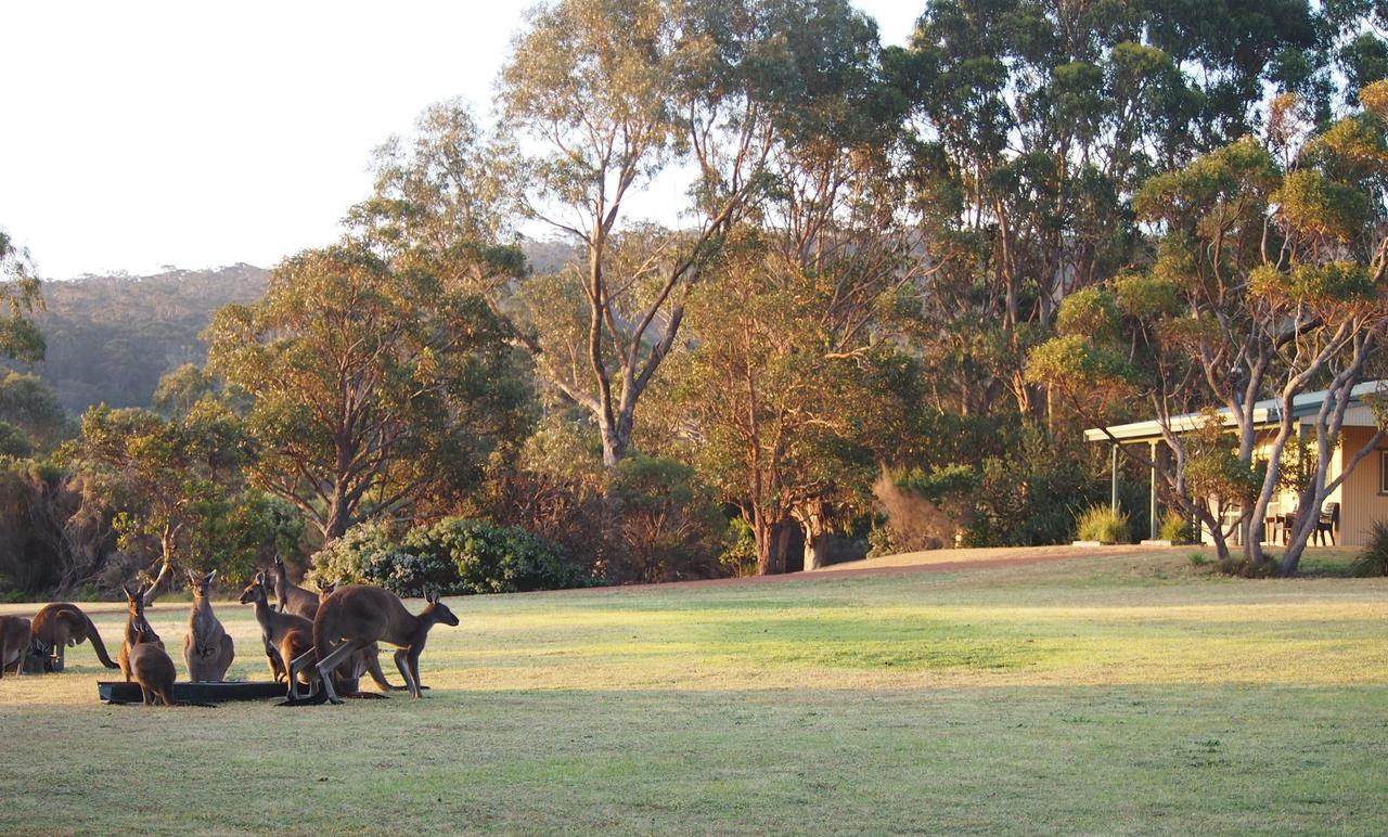  Accommodation in Surfers Paradise