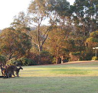 Riverside Retreat Chalets Walpole - Accommodation in Surfers Paradise