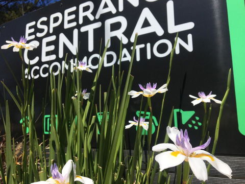 Esperance Central Accommodation - Accommodation in Surfers Paradise 0
