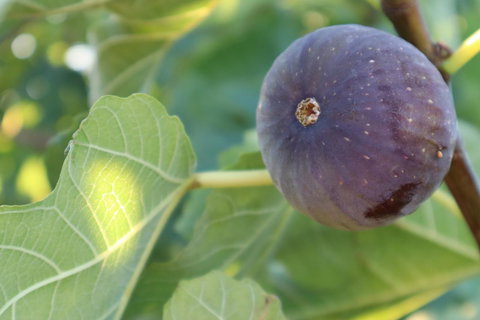 Cockburn Retreat Home æŸæ–¯æ‚ é–’æ°‘å®¿ - Accommodation in Surfers Paradise 25