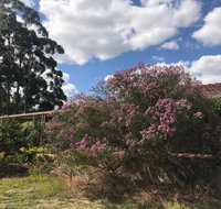 Cockburn Retreat Home  - Accommodation in Surfers Paradise