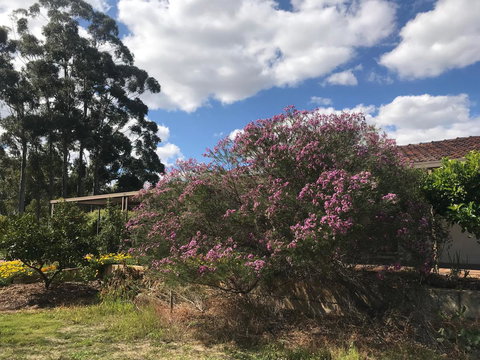 Cockburn Retreat Home æŸæ–¯æ‚ é–’æ°‘å®¿ - Accommodation in Surfers Paradise 0