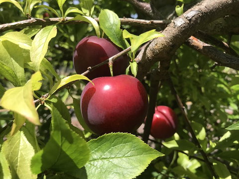 Cockburn Retreat Home æŸæ–¯æ‚ é–’æ°‘å®¿ - Accommodation in Surfers Paradise 21