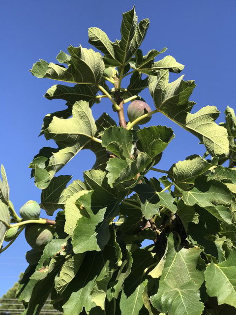 Cockburn Retreat Home æŸæ–¯æ‚ é–’æ°‘å®¿ - Accommodation in Surfers Paradise 24