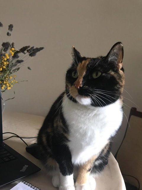 Cockburn Retreat Home æŸæ–¯æ‚ é–’æ°‘å®¿ - Accommodation in Surfers Paradise 29