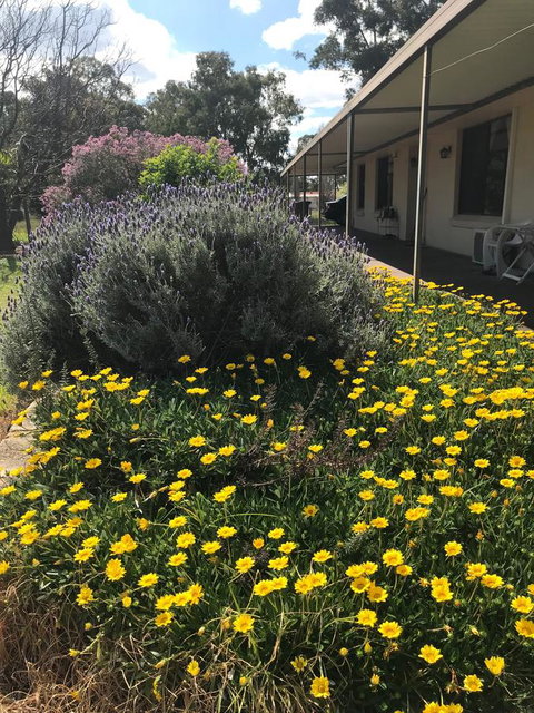 Cockburn Retreat Home æŸæ–¯æ‚ é–’æ°‘å®¿ - Accommodation in Surfers Paradise 3