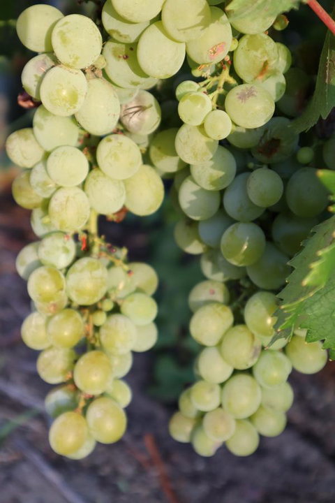 Cockburn Retreat Home æŸæ–¯æ‚ é–’æ°‘å®¿ - Accommodation in Surfers Paradise 26