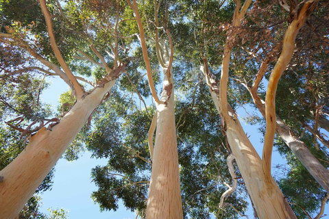 Cockburn Retreat Home æŸæ–¯æ‚ é–’æ°‘å®¿ - Accommodation in Surfers Paradise 19