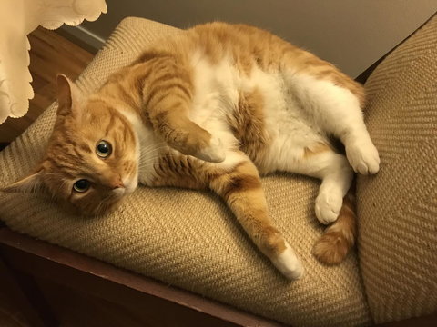 Cockburn Retreat Home æŸæ–¯æ‚ é–’æ°‘å®¿ - Accommodation in Surfers Paradise 28