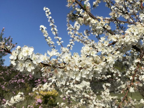 Cockburn Retreat Home æŸæ–¯æ‚ é–’æ°‘å®¿ - Accommodation in Surfers Paradise 27