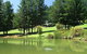 Hawke Brook Chalets - thumb 2
