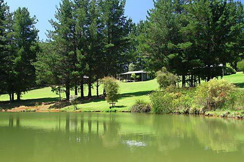 Hawke Brook Chalets - Accommodation in Surfers Paradise 2