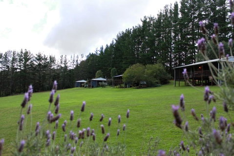 Hawke Brook Chalets - Accommodation in Surfers Paradise 1