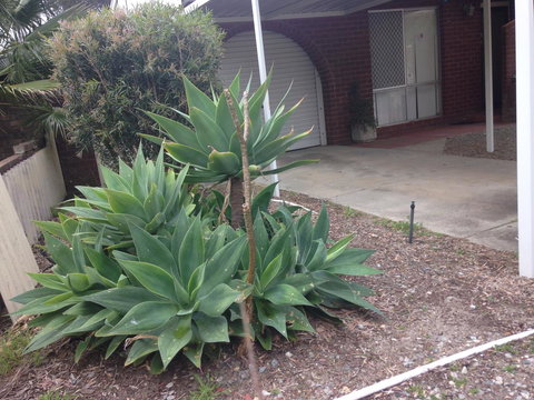 â˜… Stylish Family Home! â˜… - Accommodation in Surfers Paradise 2