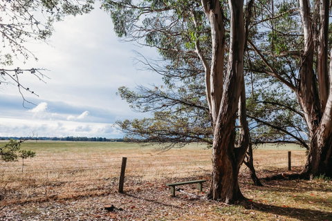 Margaret River Holiday Cottages - Accommodation in Surfers Paradise 22
