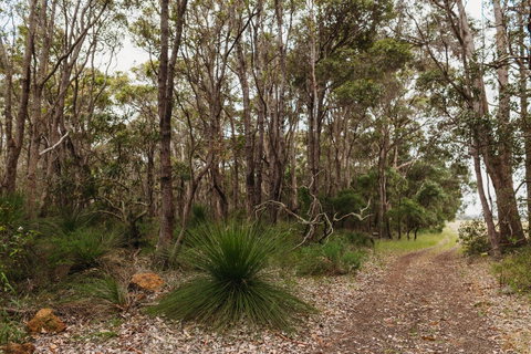 Margaret River Holiday Cottages - Accommodation in Surfers Paradise 31