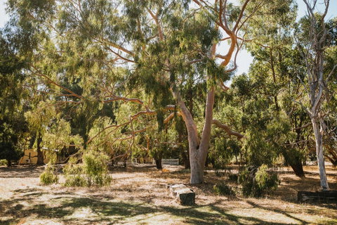 Margaret River Holiday Cottages - Accommodation in Surfers Paradise 16