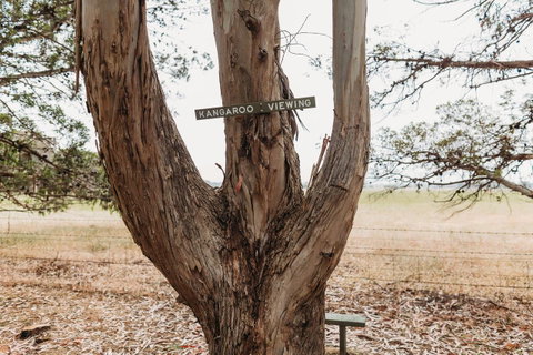 Margaret River Holiday Cottages - Accommodation in Surfers Paradise 20
