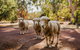 Margaret River Holiday Cottages - thumb 15