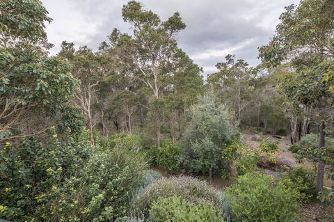 A Hidden Bush Delight - Accommodation in Surfers Paradise 7