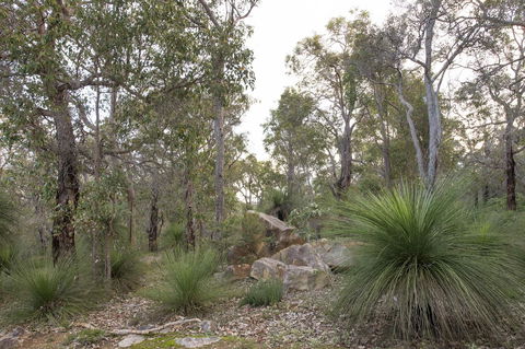 A Hidden Bush Delight - Accommodation in Surfers Paradise 23