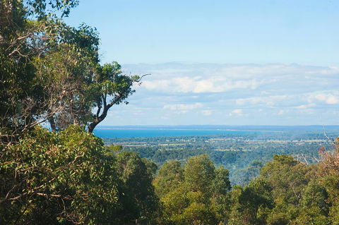 A Hidden Bush Delight - Accommodation in Surfers Paradise 31