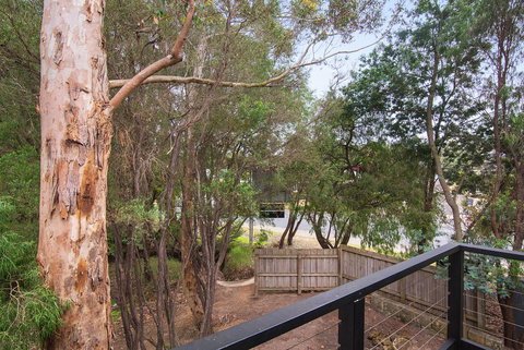 Margarets Forest - Accommodation in Surfers Paradise 12