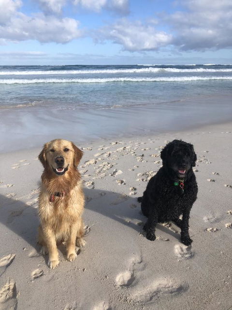 The Bothy Lancelin Family Retreat - Accommodation in Surfers Paradise 32