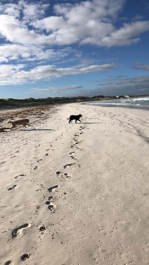 The Bothy Lancelin Family Retreat - Accommodation in Surfers Paradise 30