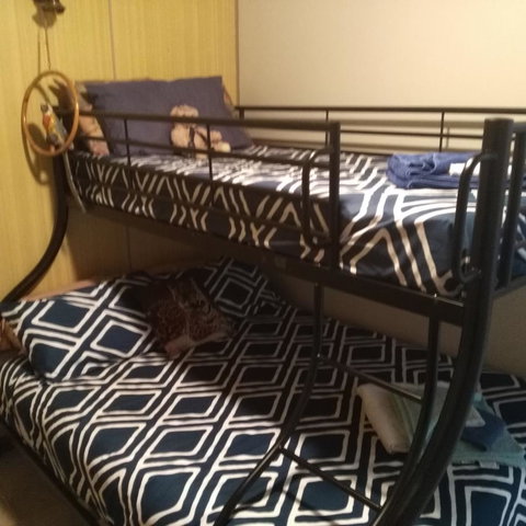 Don\'t Worry Be Happy - Accommodation in Surfers Paradise 13