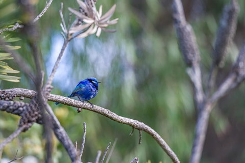 Surfside Ocean Beach Denmark Holiday Accommodation - Accommodation in Surfers Paradise 3