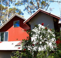 Pelicans at Denmark - Accommodation in Surfers Paradise