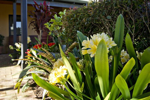 Vintages Accommodation - Accommodation in Surfers Paradise 19
