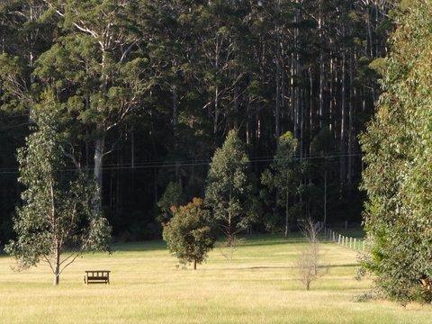 Big Brook Retreat - Accommodation in Surfers Paradise 5