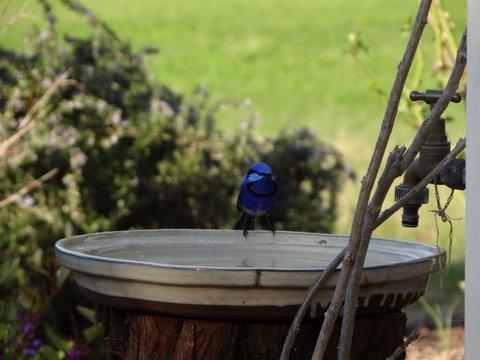 Big Brook Retreat - Accommodation in Surfers Paradise 6