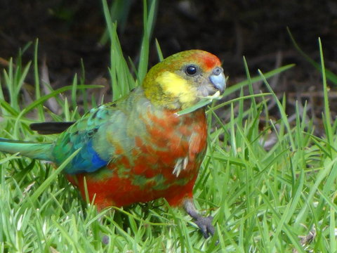 Big Brook Retreat - Accommodation in Surfers Paradise 13