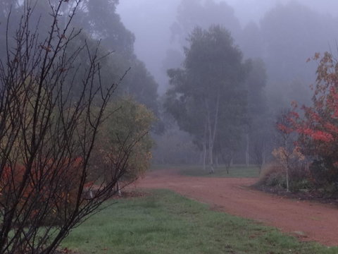 Big Brook Retreat - Accommodation in Surfers Paradise 14