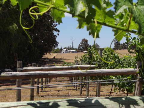 Big Brook Retreat - Accommodation in Surfers Paradise 8