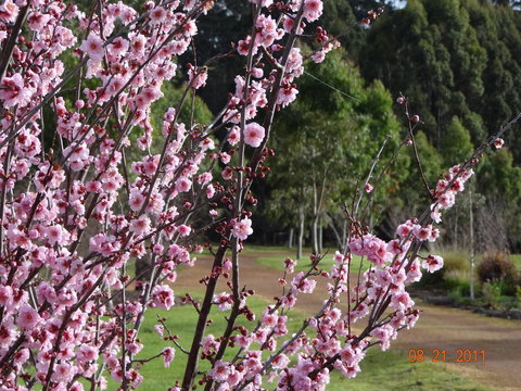 Big Brook Retreat - Accommodation in Surfers Paradise 9