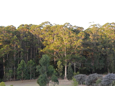 Big Brook Retreat - Accommodation in Surfers Paradise 11