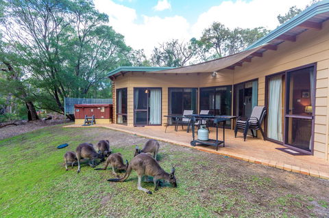 Yelverton Brook Conservation Sanctuary - Accommodation in Surfers Paradise 18