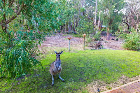 Yelverton Brook Conservation Sanctuary - Accommodation in Surfers Paradise 11
