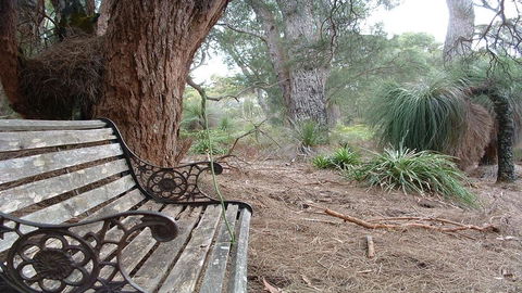 Yelverton Brook Conservation Sanctuary - Accommodation in Surfers Paradise 42