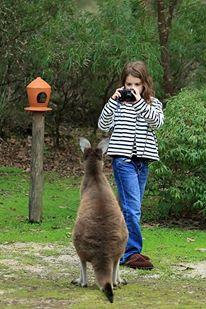 Yelverton Brook Conservation Sanctuary - Accommodation in Surfers Paradise 39