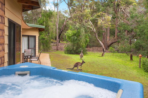 Yelverton Brook Conservation Sanctuary - Accommodation in Surfers Paradise 9